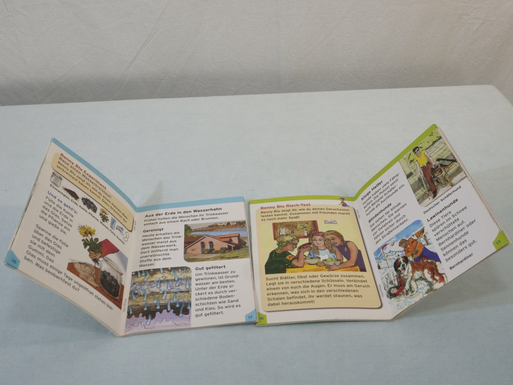 Bücher: Lot:6 verschiedene Büchlein: Benny Blu – Gebraucht aus Lustmühle von Glatisant 3