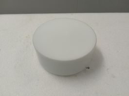 Regent Deckenlampe, Käselampe.
