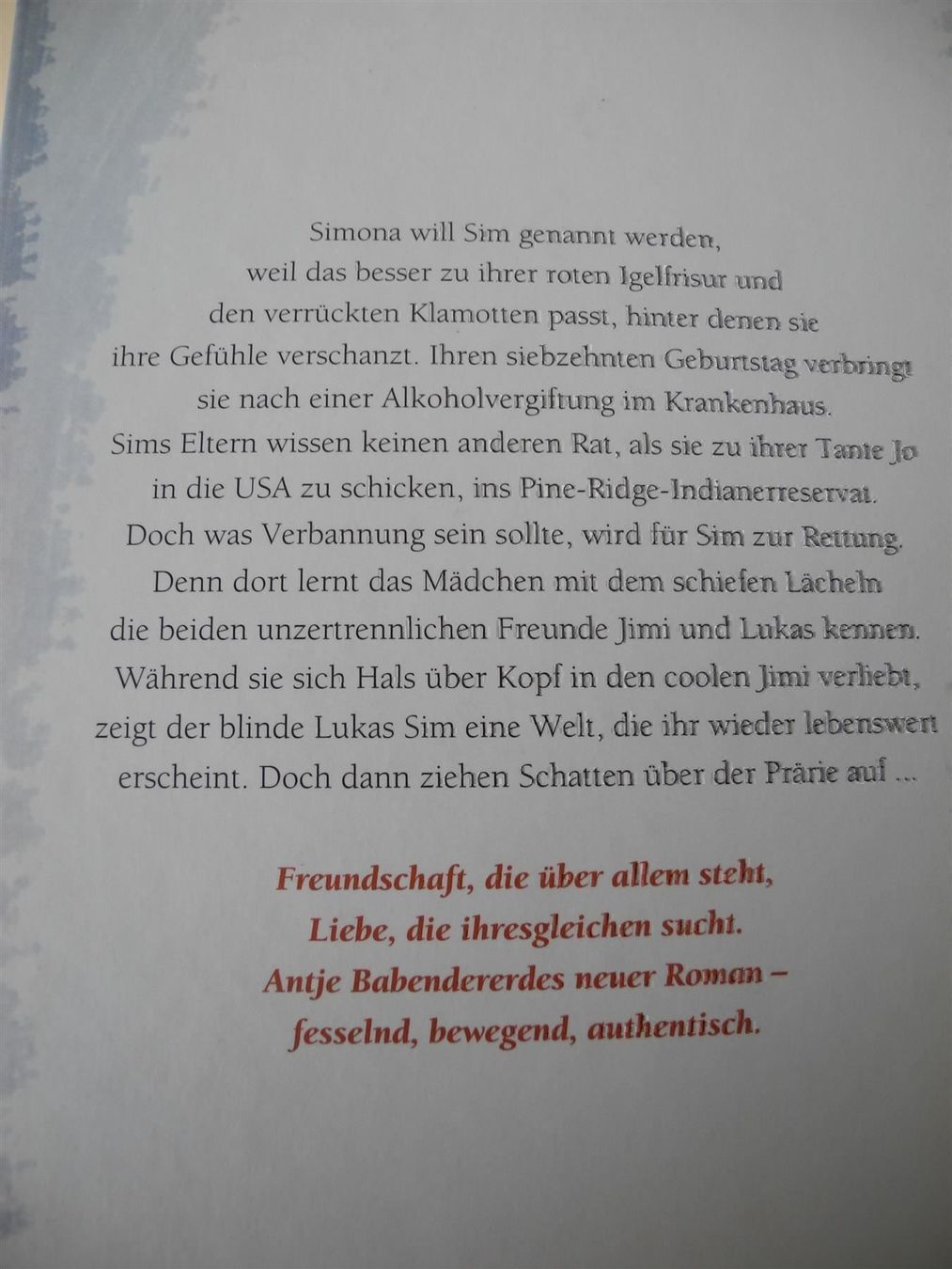 Libri: Julischatten , Nr. 47k – Nuovo (secondo la descrizione) da Kottwil venduto da Crazyrolf 1