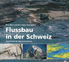 Flussbau, Entwicklung, Ausblick