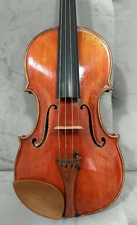 Strumenti musicali: Violine 4/4 – Usato da Luzern venduto da Echo11