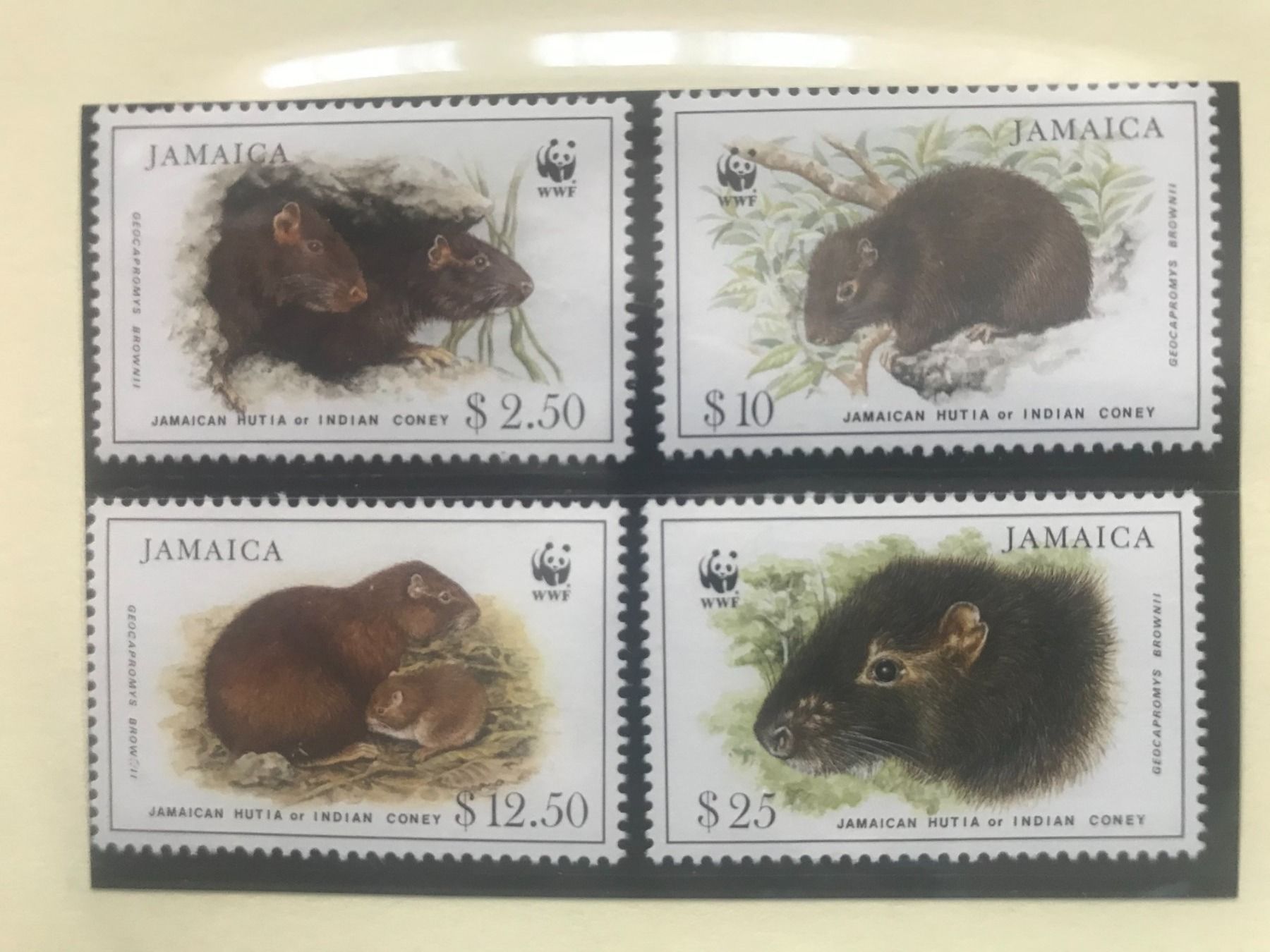 Tutti i francobolli: WWF Jamaika 1996 Satz Ferkelratte postfrisch – Nuovo (secondo la descrizione) da Liestal venduto da schnueps