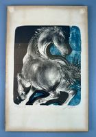 ♦️ LITHOGRAPHIE „HANS ERNI“ AB 1.- !!!