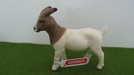 Schleich Burenziege ( NEU )