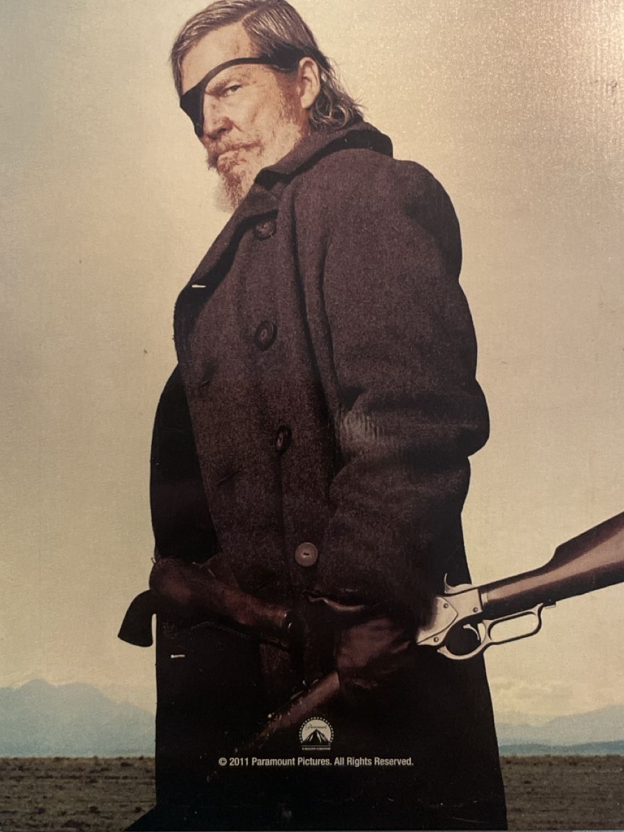 Tutti i DVDs: True Grit (2010) Steelbook – Usato da Waldenburg venduto da Gonzo8 1