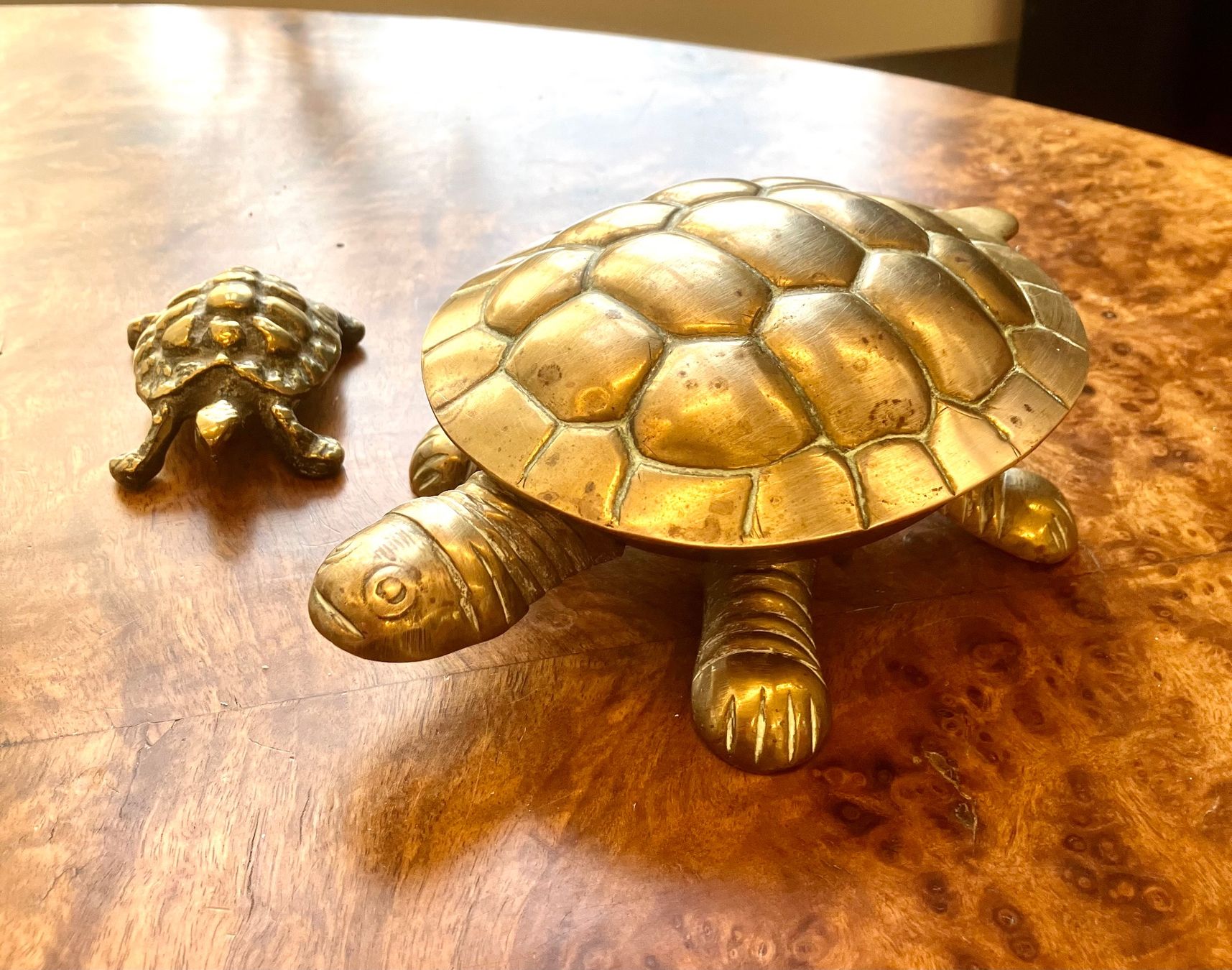 Tutte le decorazioni: Zwei Schöne antike Schildkröten aus Messing – Usato da Schaffhausen venduto da NinaRicardo 6