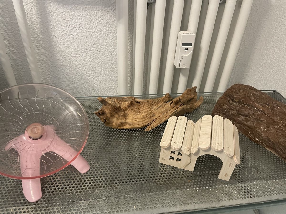 Cucce & Letti: Hamster Rad und Hamster Haus – Usato da Uster venduto da mir_7bzy