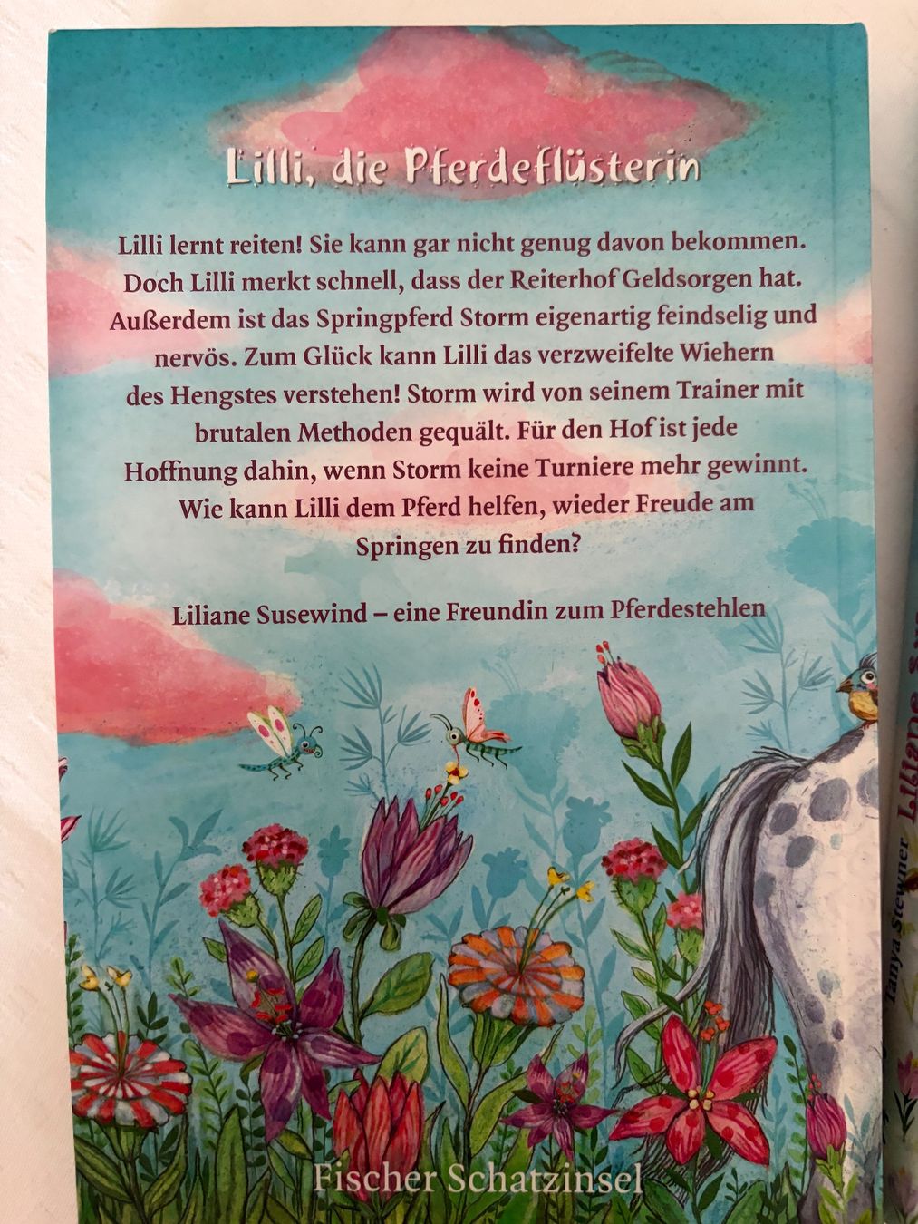 Libri: Jugendbuch, Liliane Susewind, 2 Stück – Usato da Olten venduto da acn_hys6 1