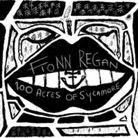 Fionn Regan - 100 Acres Of Sycamore (Digipack)