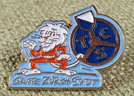 D741 - Pin Löwe Gruppe Zürich Stadt TCS