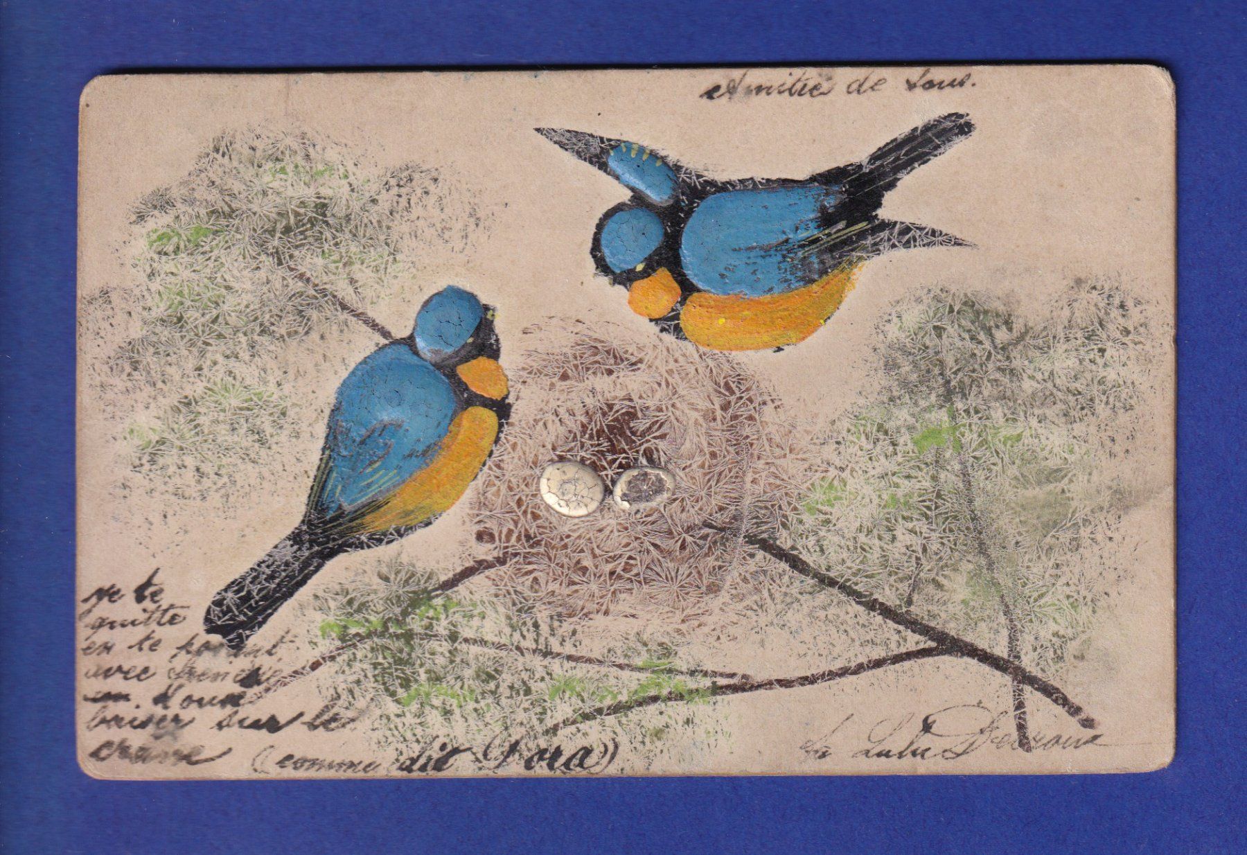 Cartes postales: OISEAU - Nid de mésanges // pli // – D'occasion à Pully par nicecards-shop