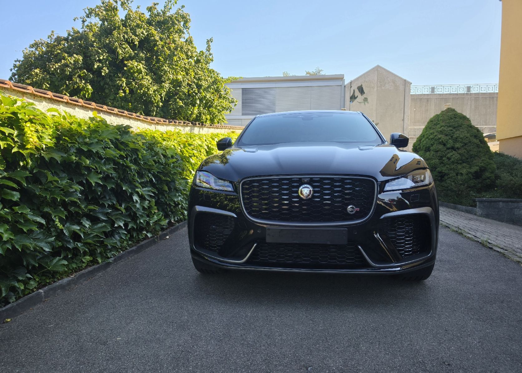 Jaguar Autos: Jaguar F-Pace SVR – Gebraucht aus Widen von Mikemaus1996 1