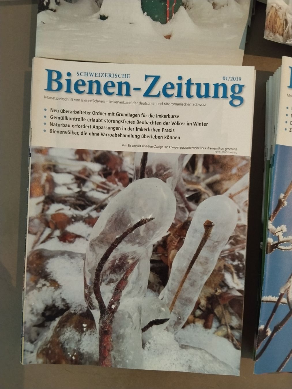 Alveari: Schweizerische Bienen-Zeitung  2017- mitte '24 – Usato da Widnau venduto da blackSkorpion88 5