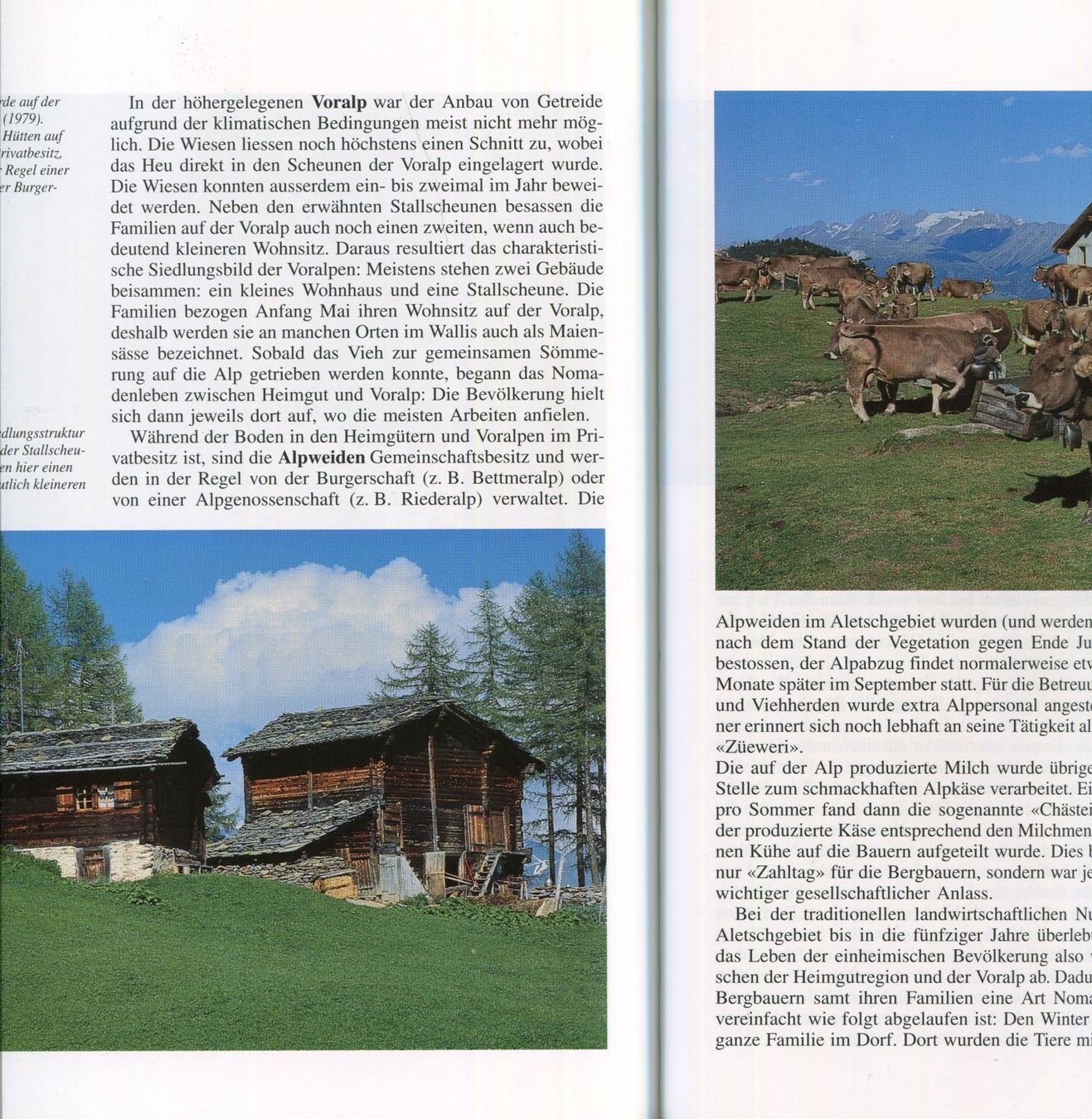 Bücher: Wallis, Aletsch, Landschaft, Natur – Gebraucht aus Aarau von Elmaar41 5