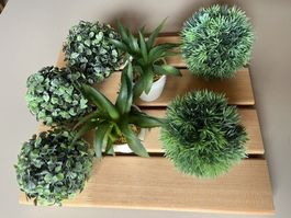 Grünpflanzen Kunststoff Buchs Kugel, Aloe in Töpfli