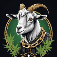 Profile image of B_S_92