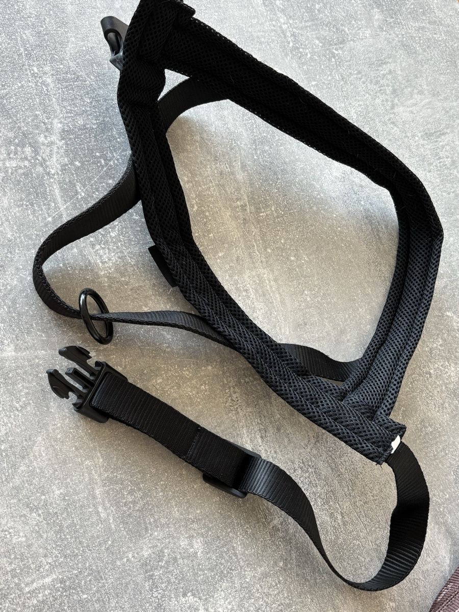 Collier et laisse: Hundegeschirr L – Neuf (Voir description) à Glattbrugg par S_ch_ 1