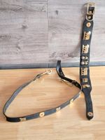 Hundeleine Halsband Leder Appenzeller Schwarz Grösse Hunde