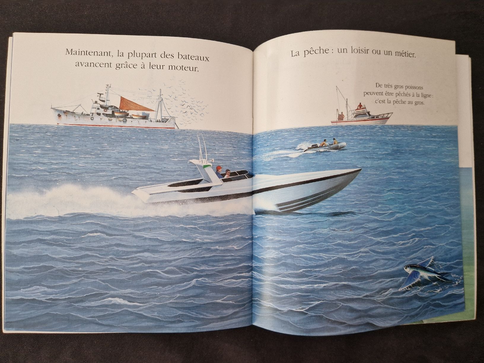 Bücher: Cache-Cache avec Le bateau – Neu (gemäss Beschreibung) aus Villars-sur-Glâne von Agnie80 3