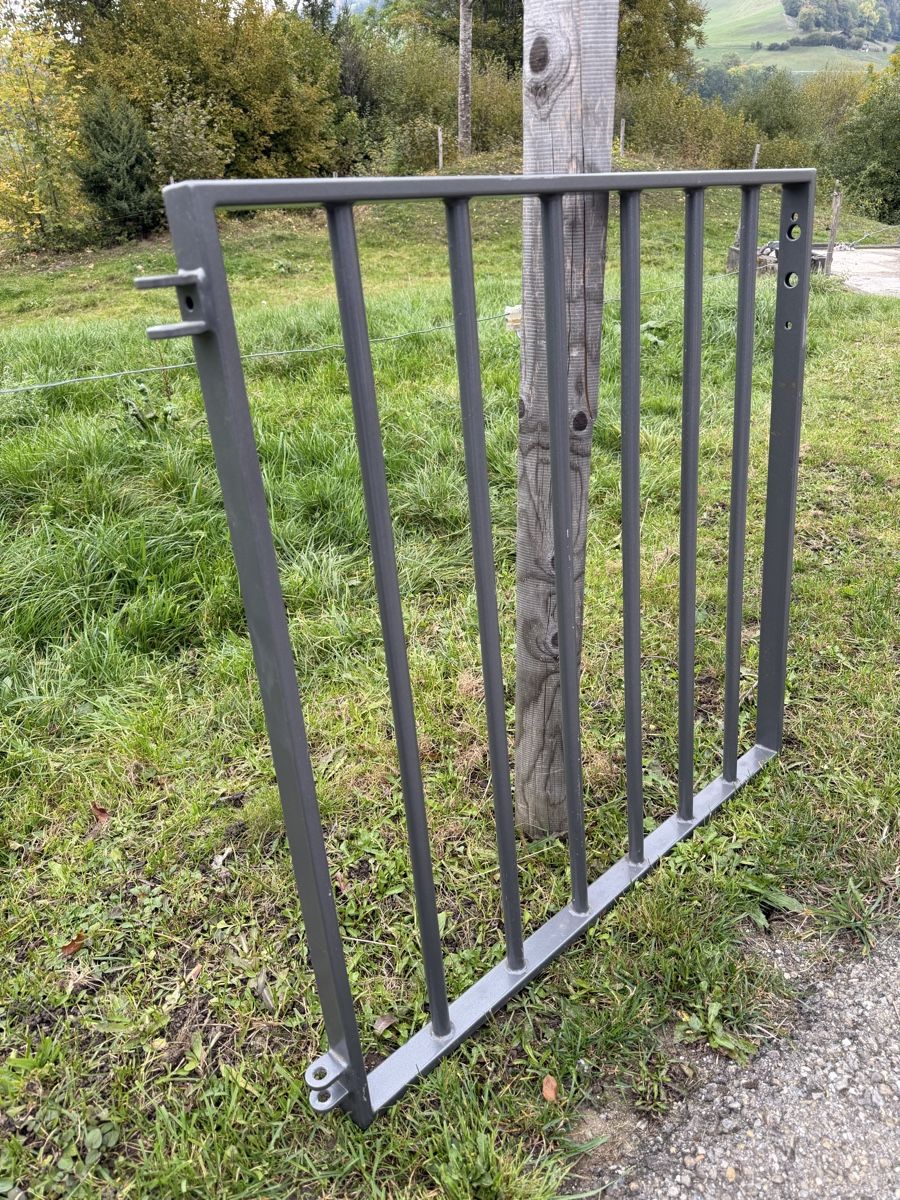 Porte: Gartentor – Usato da Plasselb venduto da MatthD 1