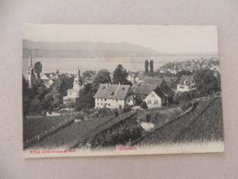 Karte Erlenbach ZH Wein Rebberg 1913