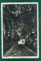 Hohle Gasse bei Küssnacht am Rigi, ungelaufen