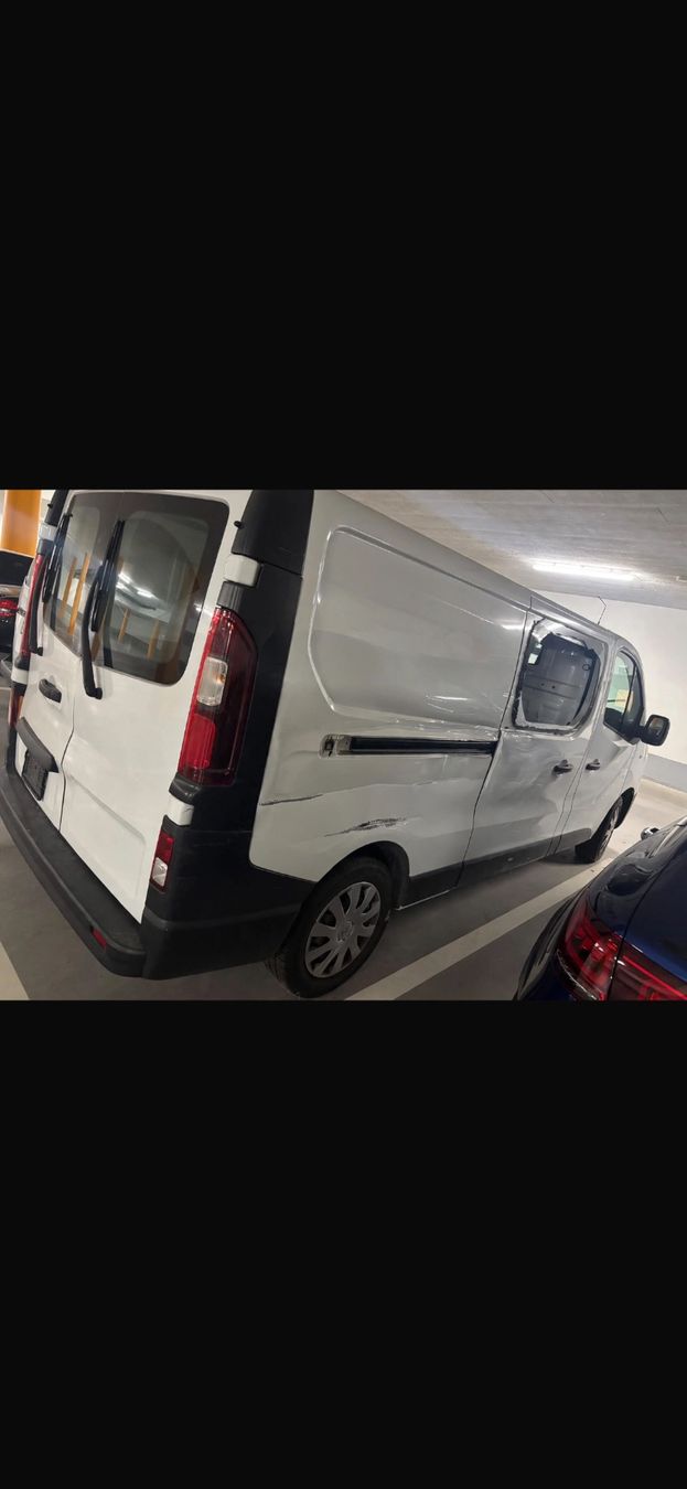 Renault Veicoli commerciali: RENAULT Trafic dCil20 L2H1 – Usato da Eschen venduto da kingkong010 2