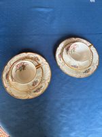 Rosenthal 2 Tee-/Kaffeegedecke Diplomat