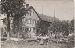 LANDWIRTSCHAFT/BAUERNHAUS 1910 mit Kuh TG/SG?