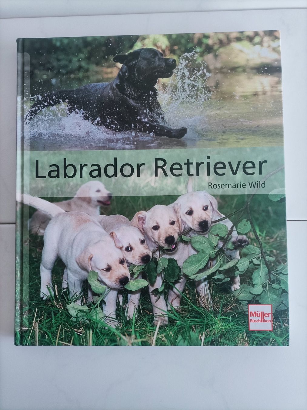 Bücher: Labrador Retriever / Rosemarie Wild / Muller 2011 – Gebraucht aus crans montana von AB3963