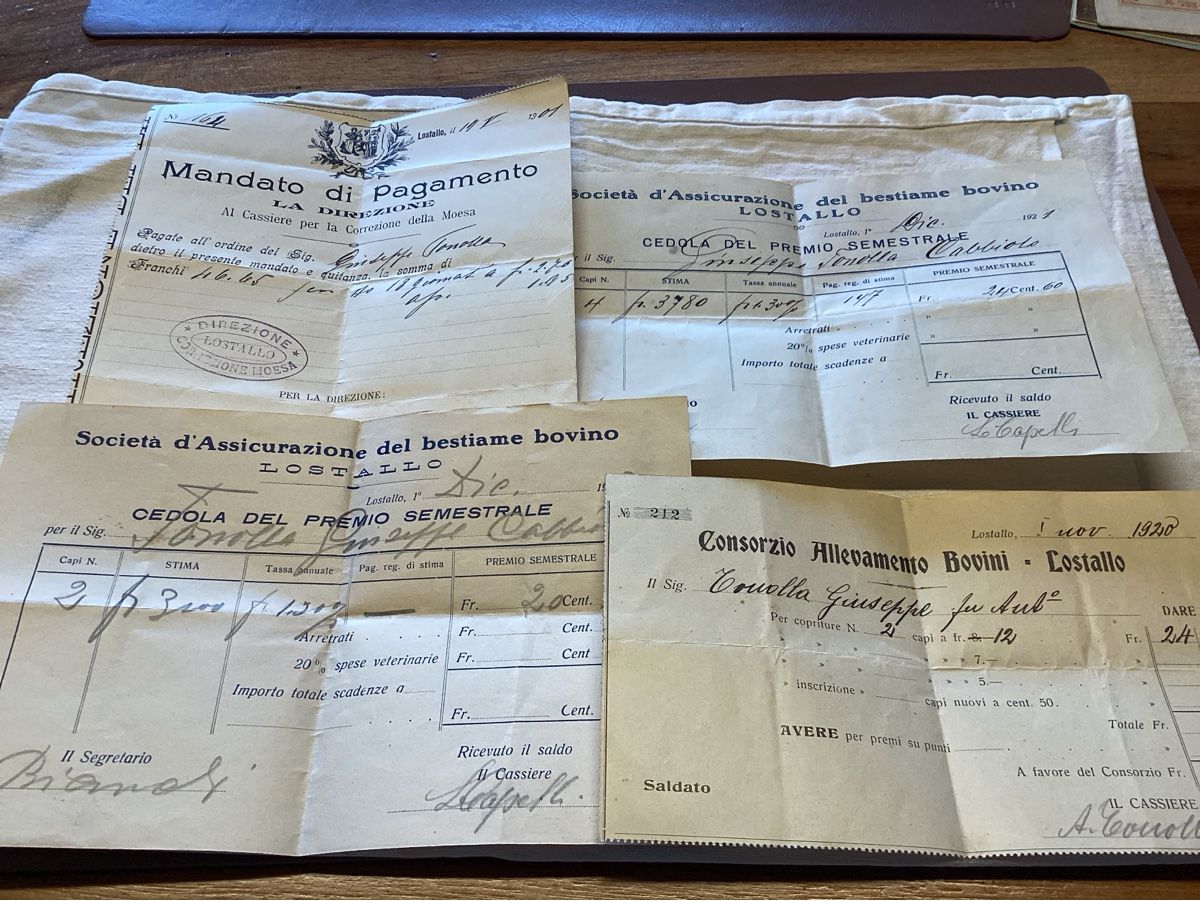 Ansichtskarten: Lostallo 4 documents 1901 A 1921  intéressant – Gebraucht aus Luc (Ayent) von Rebouille