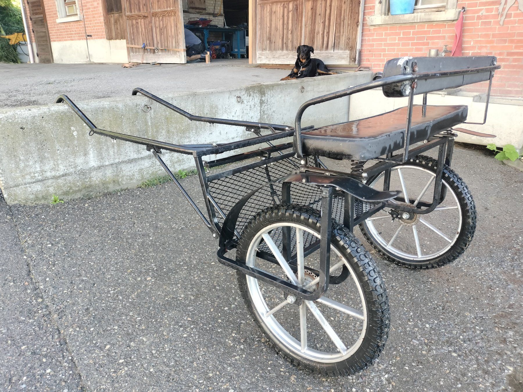 Carrozze: Sulky Kutsche – Usato da Pfungen venduto da Savaklunki