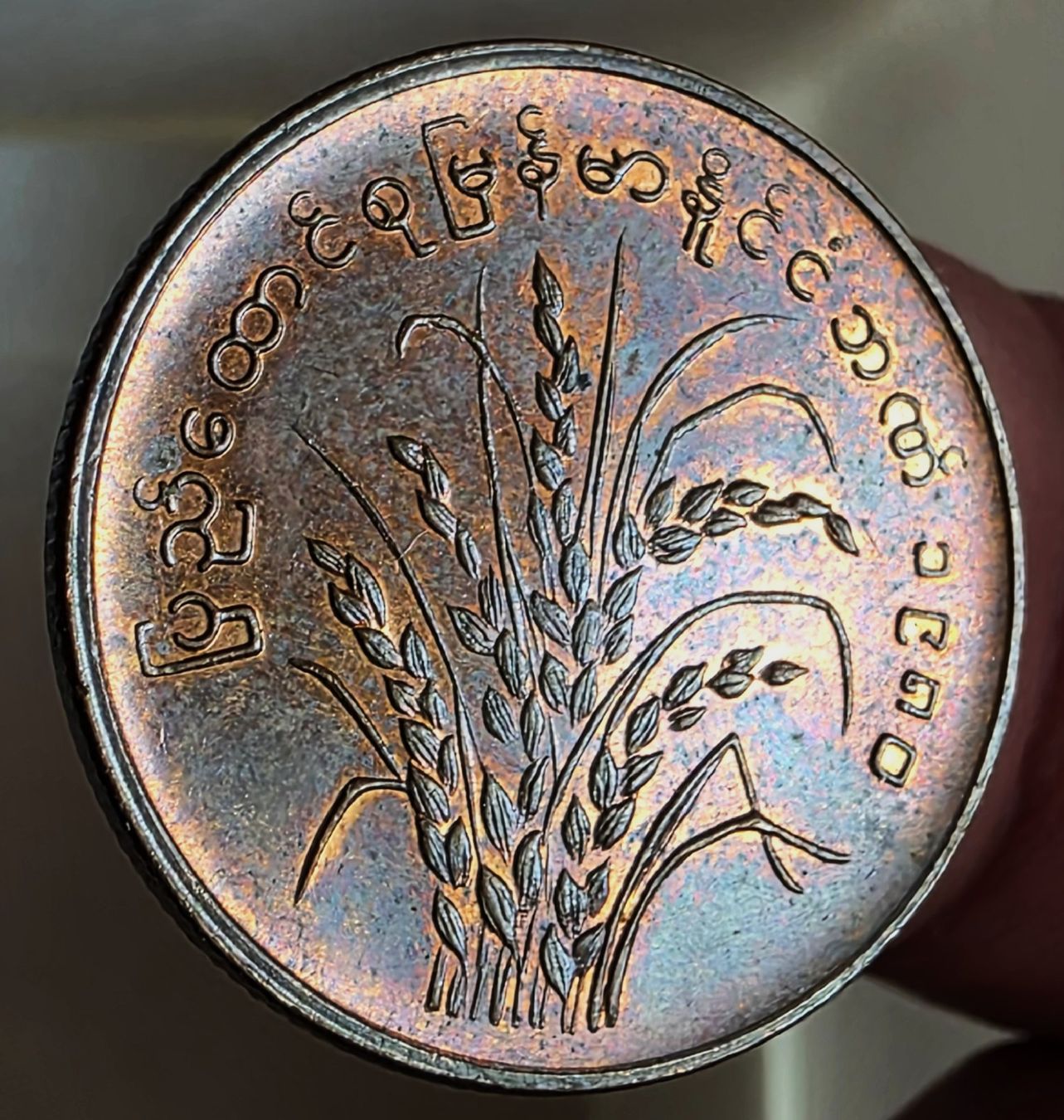Toutes les monnaies: MYANMAR 25 PYAS 1980 – D'occasion à winterthur par CoinPassion