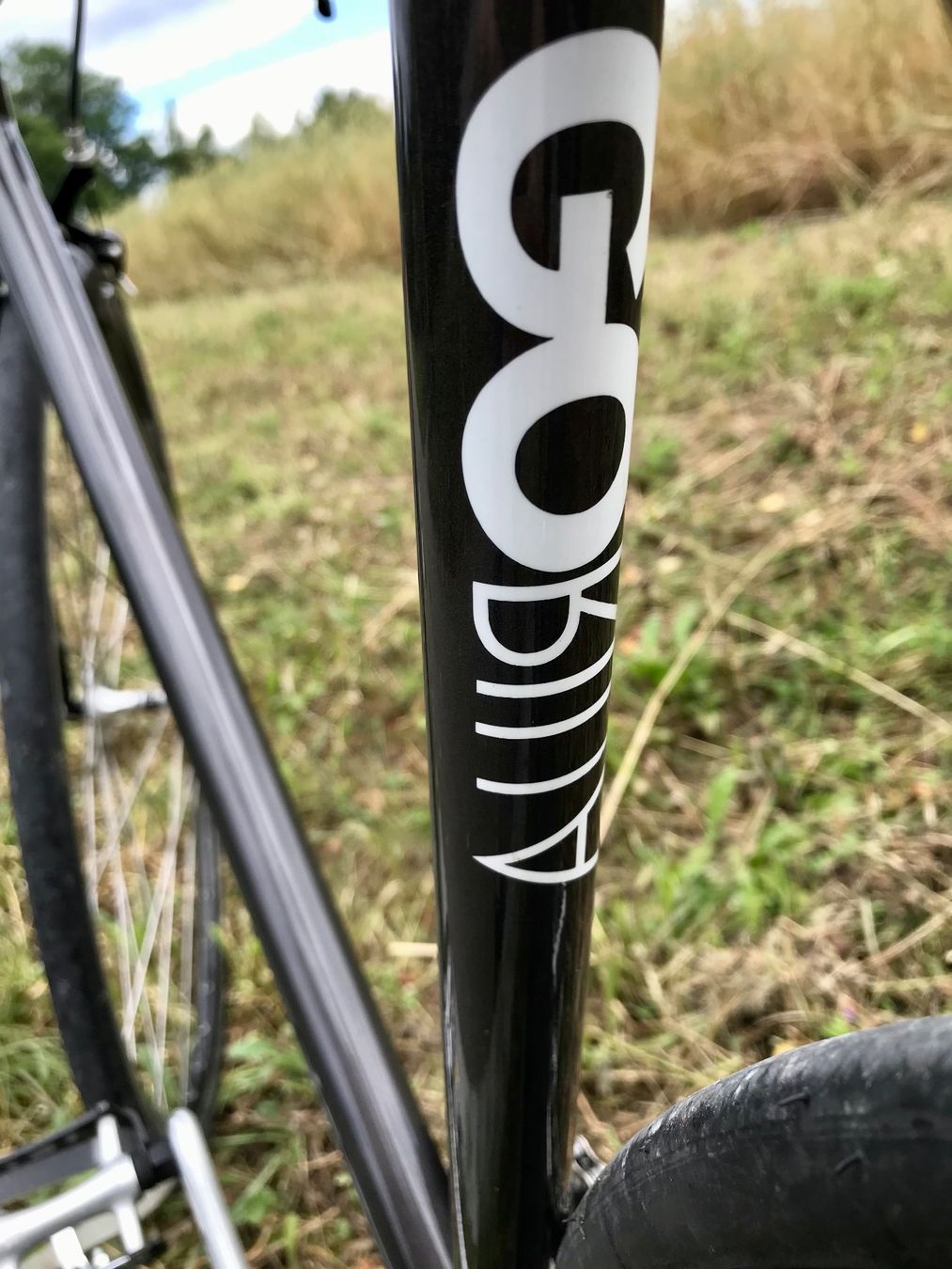 Velos: Gorilla hattara II / 55cm / Fixie / Singlespeed – Gebraucht aus Bern von  1