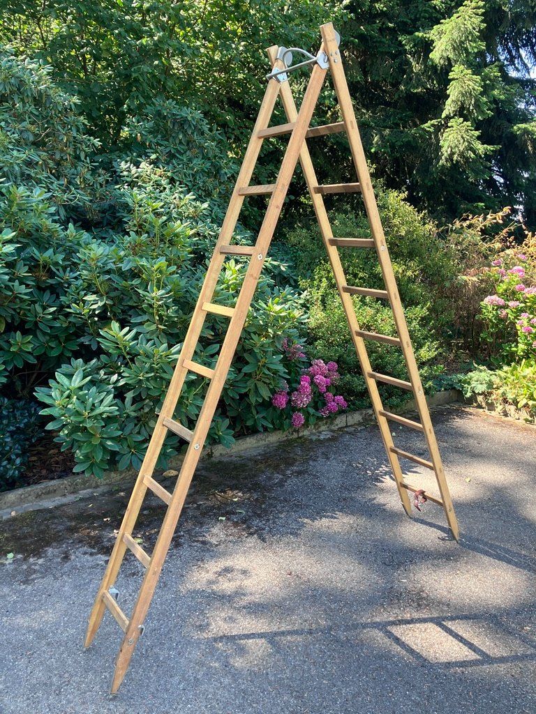 Scale: Schweizer Armee Holzleiter kombinierte Bock-Schiebeleiter 3m – Nuovo (secondo la descrizione) da Fislisbach venduto da Promo