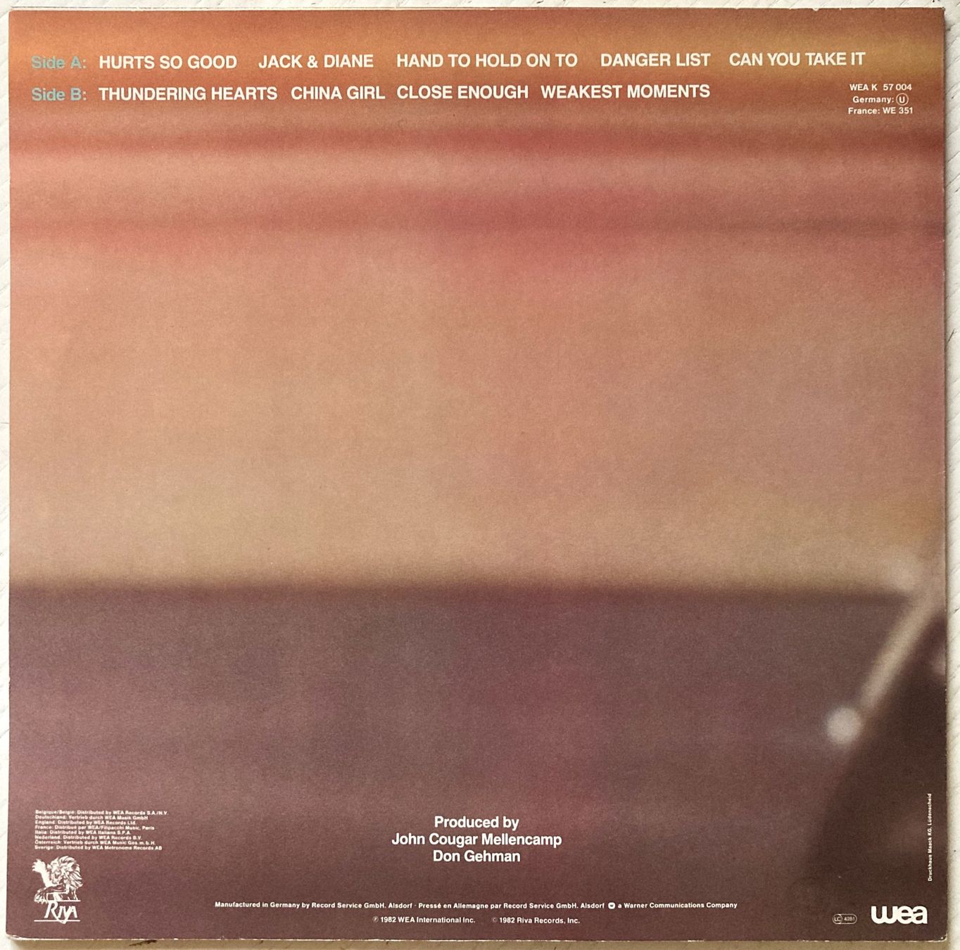 Dischi in vinile: JOHN COUGAR - AMERICAN FOOL – Usato da Bottens venduto da hotter-than-hell 1