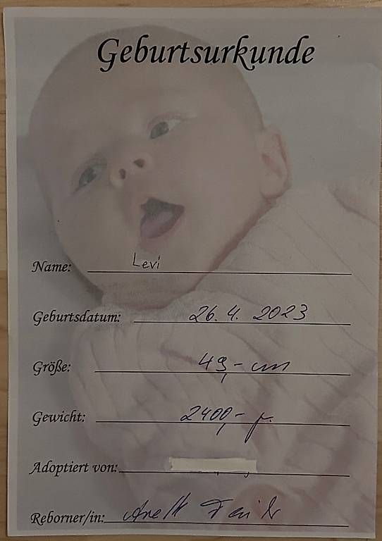 Bambole: Reborn Baby Junge – Usato da Winterthur venduto da Flamenca7 4