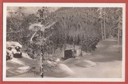 RhB - Berninabahn im Winter - Fotokarte 1936