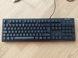 Sharkoon Skiller SGK30 Gaming Keyboard