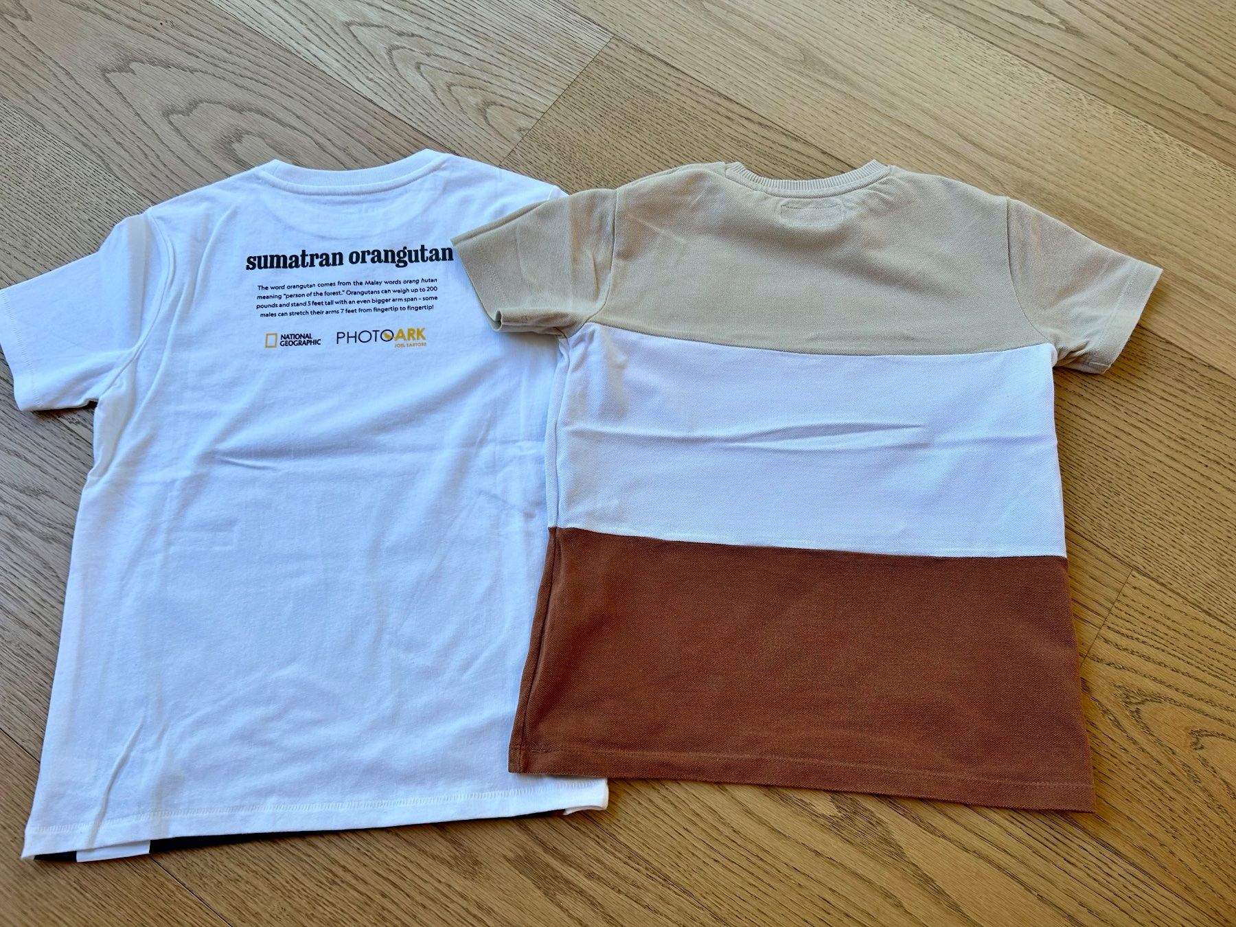 Hemden, T-Shirts & Polos: T- Shirts Gr. 128/134 – Neu (gemäss Beschreibung) aus Rothrist von szc_9dg5 1