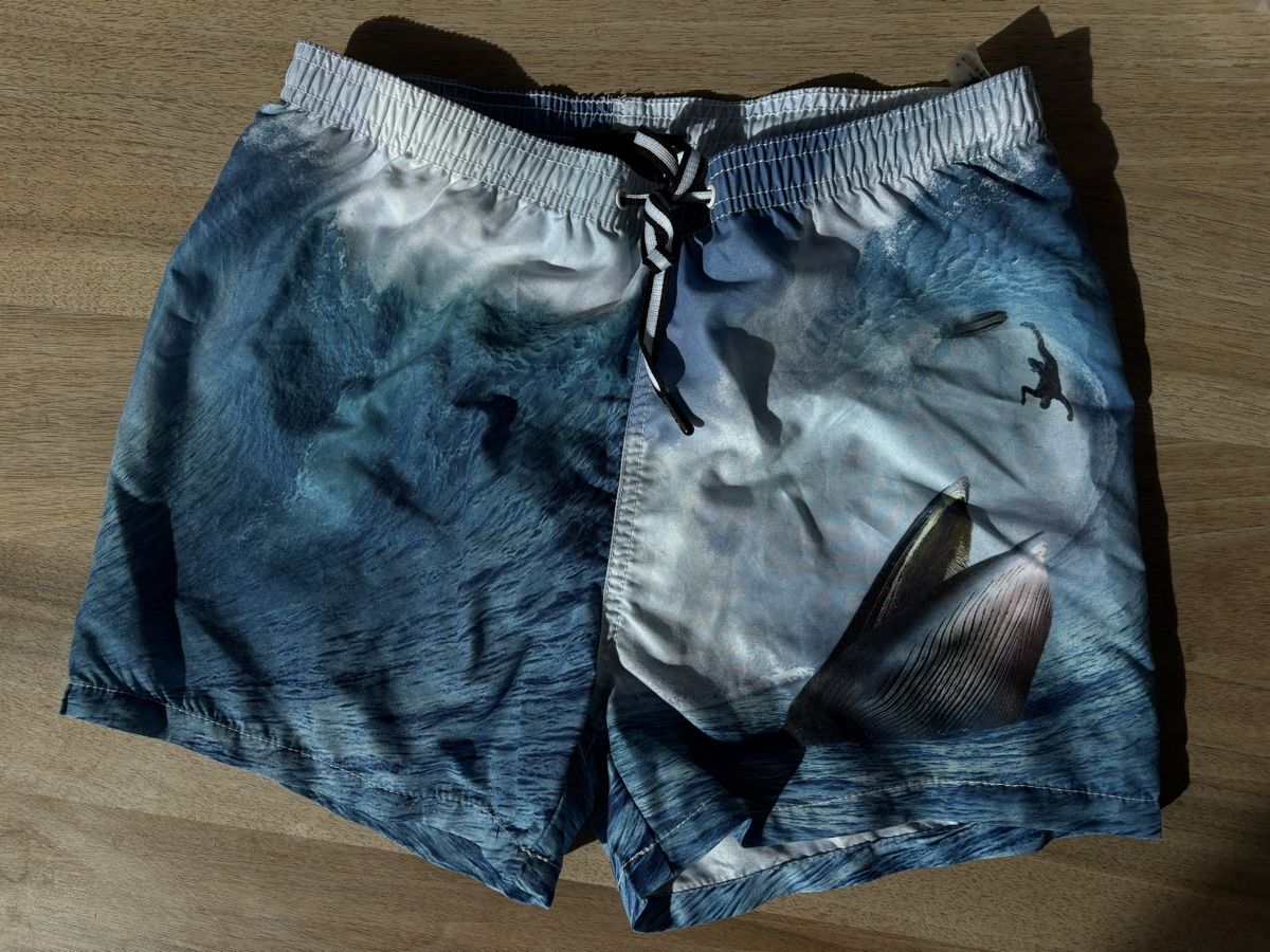 Molo Costumi da bagno: Molo Badehose, 158-164 – Usato da Liesberg Dorf venduto da Imagie
