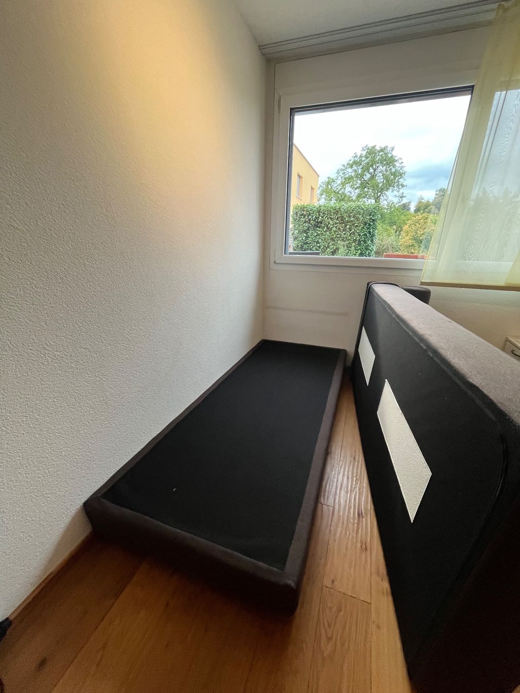 Divani: Softline Lubi Schlafsofa – Usato da Flawil venduto da CSSF 2