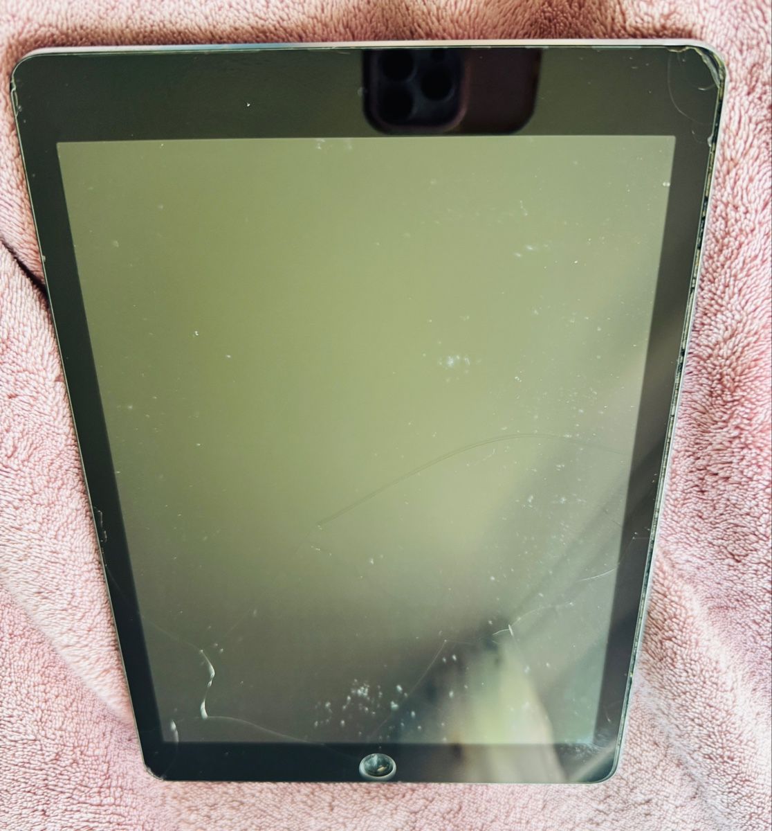 Apple Tablet PC: iPad Pro 9.7 erste Generation – Gebraucht aus Leibstadt von Ukrainelvivvorever 9