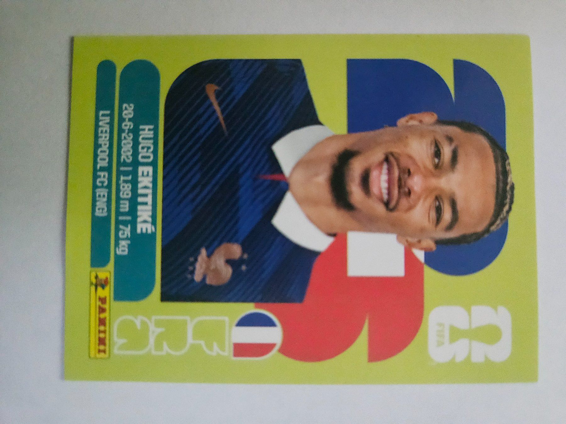 Panini Cartes à collectionner: FRA 19 – D'occasion à Würenlingen par Dinli