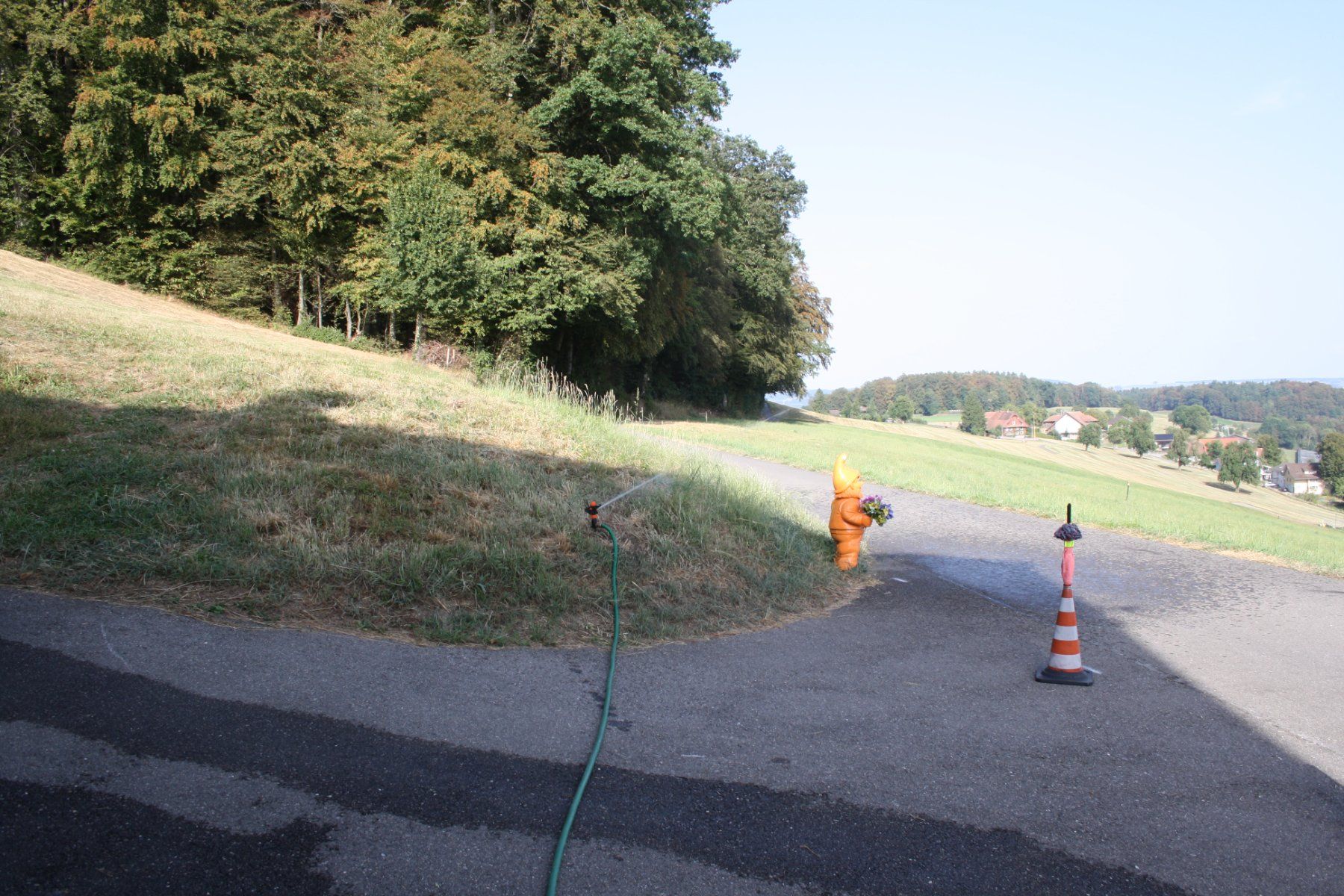 Tecnologia medica: RASENSPRENEGER GARTENSPRENEGER – Usato da Wauwil venduto da Pneuedy 4