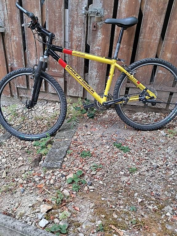 Velos: Bike – Gebraucht aus Biberstein von precious010