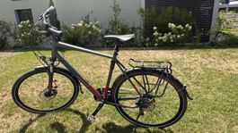 Herren Velo Bergamont, Horizon 6