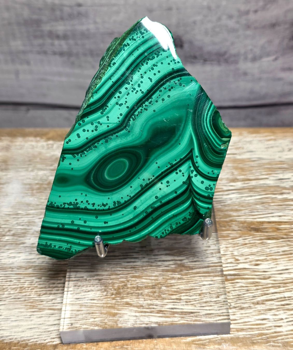 Minerali & Pietre curative: Malachit Scheibe auf Acryl Ständer 136g – Nuovo e nell'imballaggio originale da Matzingen venduto da Shay_Crystalz