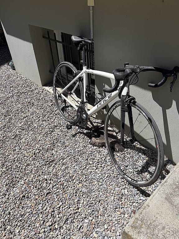 Biciclette: Price Rennvelo  – Usato da Bern venduto da boe_k66f 1