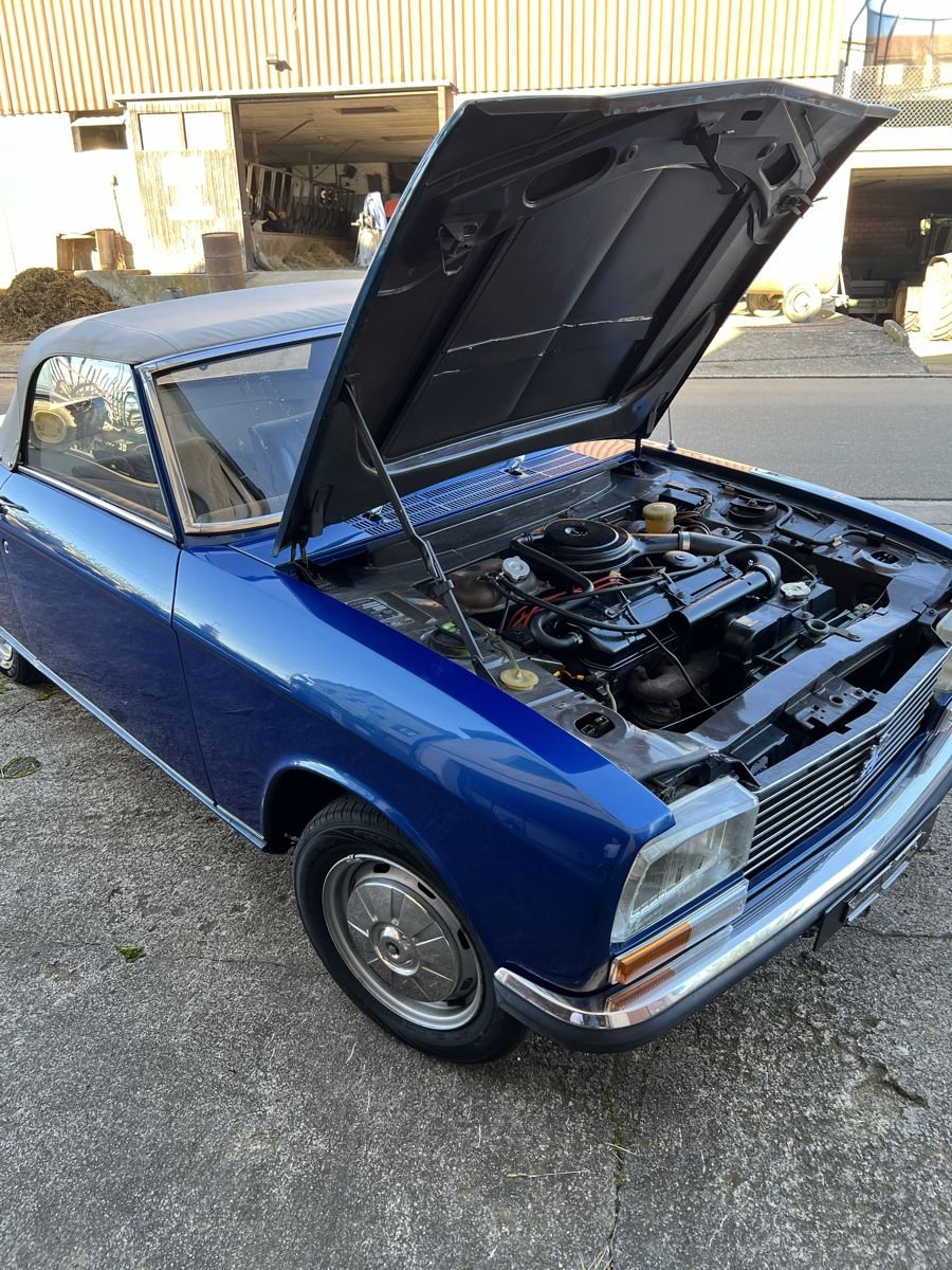 Peugeot Automobili: Oldtimer Veteran Peugeot 304 Cabriolet – Usato da Schaffhausen venduto da ArthurM. 1